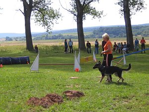 Dorffest gefeiert