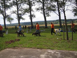 Dorffest gefeiert
