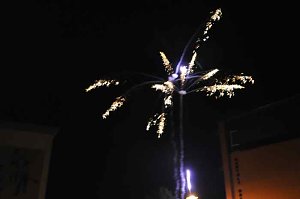 EVN-Fest 2010