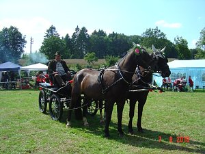 Parkfest in Werna