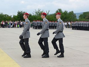 Gel&ouml;bnis Bad Frankenhausen