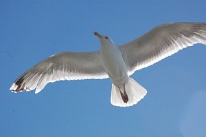 Zum Nordkap