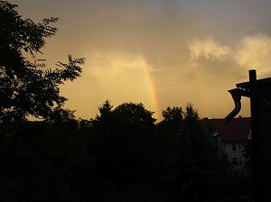 Regenbogen
