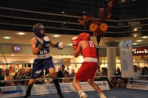Boxen in der Südharzgalerie
