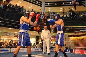 Boxen in der Südharzgalerie