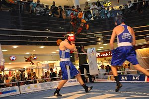 Boxen in der Südharzgalerie