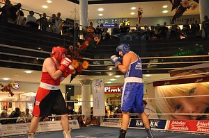 Boxen in der Südharzgalerie
