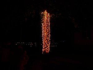 Lichterfest 2010
