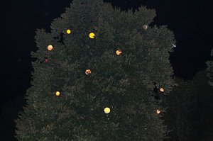 Lichterfest 2010