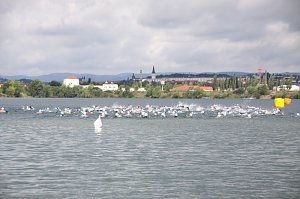 Triathlon 2010