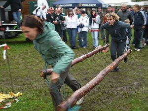 Die erste Auflage