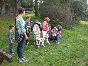 Fest(e) gefeiert