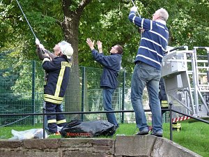 Spektakul&auml;rer Umzug