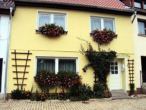 Frankenh&auml;user Bl&uuml;tensommer