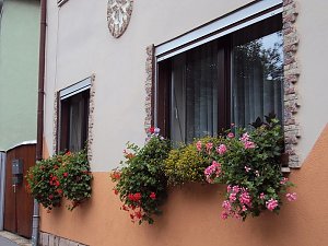 Frankenh&auml;user Bl&uuml;tensommer
