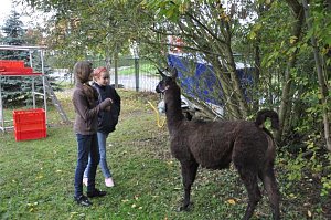 "Vielfalt tut gut" - Stra&szlig;enfest beim Falken