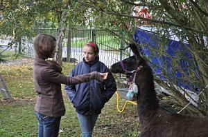 "Vielfalt tut gut" - Stra&szlig;enfest beim Falken
