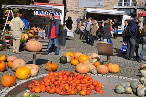 K&uuml;rbismarkt in Nordhausen