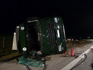 Tierischer Unfall