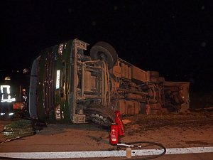 Tierischer Unfall