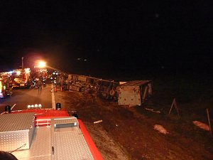 Tierischer Unfall