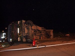 Tierischer Unfall