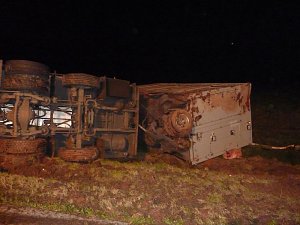 Tierischer Unfall