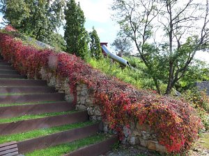 LGS-Herbst