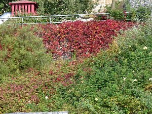 LGS-Herbst