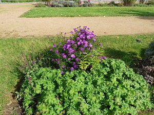 LGS-Herbst