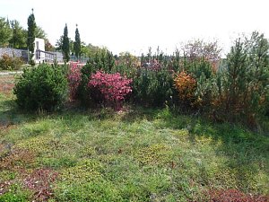 LGS-Herbst