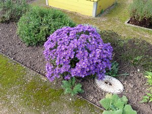 LGS-Herbst