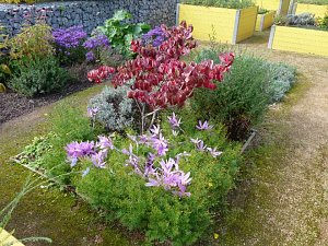 LGS-Herbst