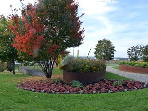 LGS-Herbst