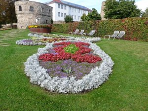 LGS-Herbst