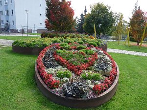LGS-Herbst