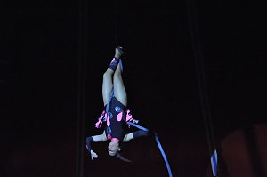 Zirkus Aeros in Nordhausen