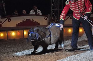 Zirkus Aeros in Nordhausen