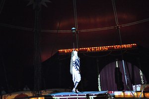 Zirkus Aeros in Nordhausen