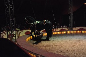 Zirkus Aeros in Nordhausen
