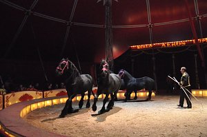 Zirkus Aeros in Nordhausen