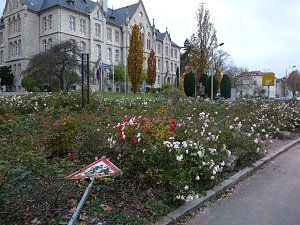 Legende Stadtcaf&eacute; Sondershausen wiederer&ouml;ffnet