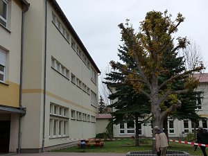 Teilsperrung Franzbergschule
