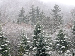 Winteranfang