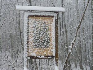 Winteranfang