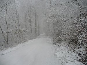 Winteranfang