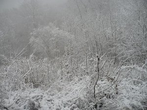 Winteranfang