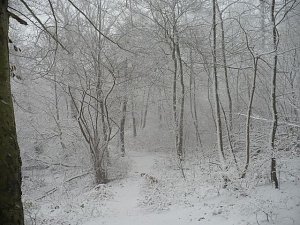 Winteranfang