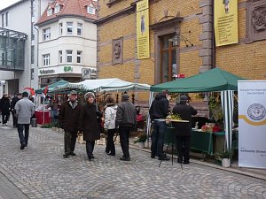 Start in den Advent
