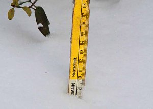 Schneeh&ouml;he Stockhausen